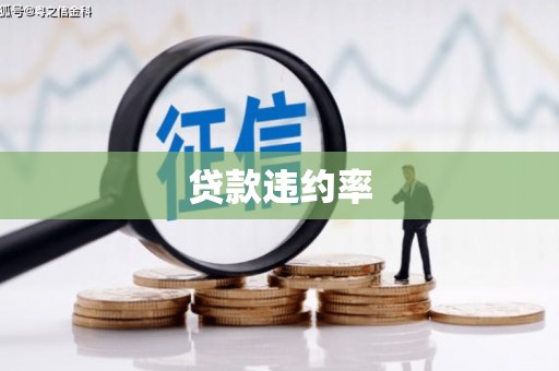 南华贷款违约率