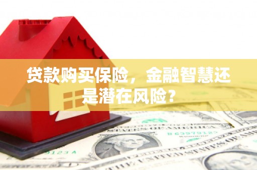大余贷款购买保险，金融智慧还是潜在风险？