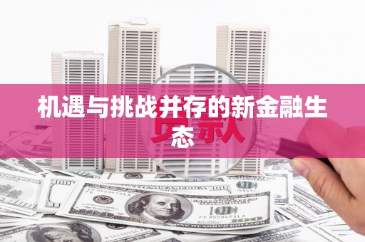 大洼机遇与挑战并存的新金融生态