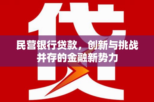 曲水民营银行贷款，创新与挑战并存的金融新势力