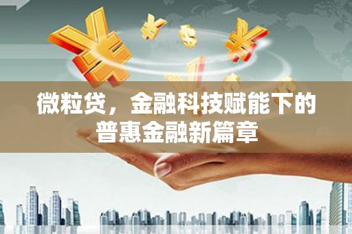 米东微粒贷，金融科技赋能下的普惠金融新篇章