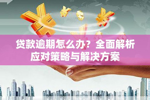 定兴贷款逾期怎么办？全面解析应对策略与解决方案