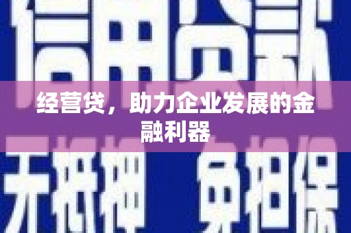 芦淞经营贷，助力企业发展的金融利器