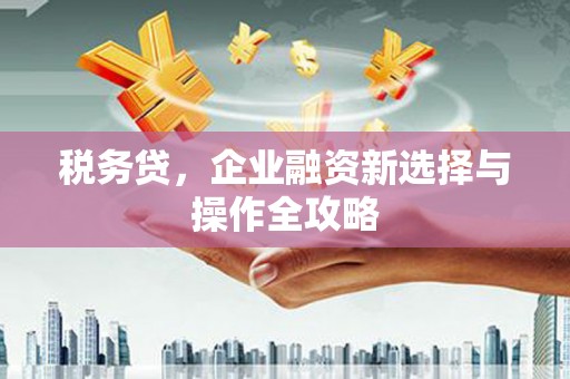 郊区税务贷，企业融资新选择与操作全攻略