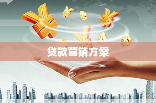 东宝贷款营销方案