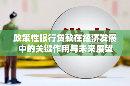 天宁政策性银行贷款在经济发展中的关键作用与未来展望