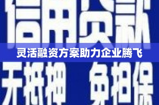 勉县灵活融资方案助力企业腾飞