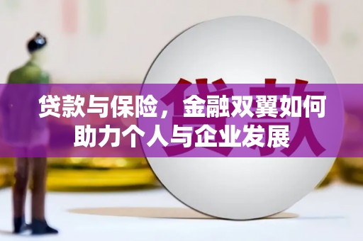 武清贷款与保险，金融双翼如何助力个人与企业发展