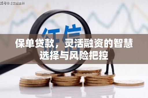 浉河保单贷款，灵活融资的智慧选择与风险把控