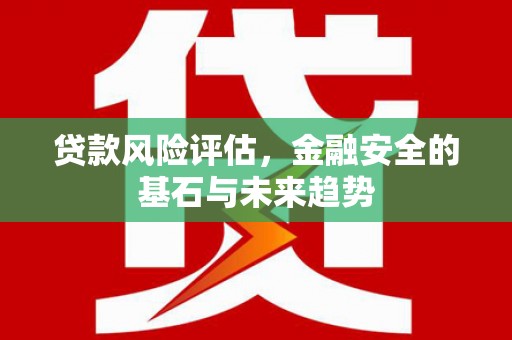 宁武贷款风险评估，金融安全的基石与未来趋势