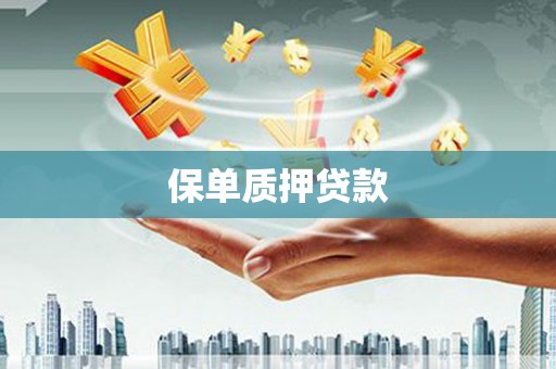 徐水保单质押贷款