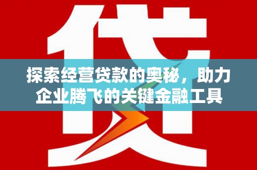 顺平探索经营贷款的奥秘，助力企业腾飞的关键金融工具