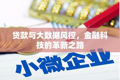 聂荣贷款与大数据风控，金融科技的革新之路