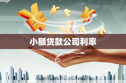 湘西小额贷款公司利率