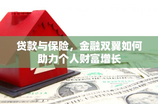 新园贷款与保险，金融双翼如何助力个人财富增长