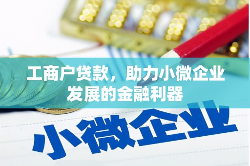 新林工商户贷款，助力小微企业发展的金融利器