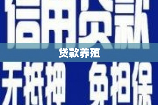 四湖贷款养殖