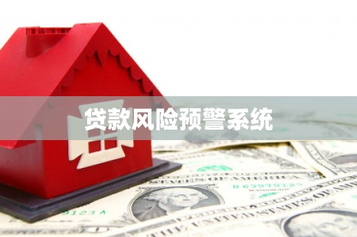 武汉贷款风险预警系统