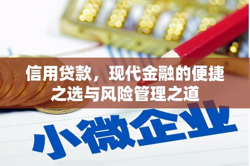 澜沧信用贷款，现代金融的便捷之选与风险管理之道