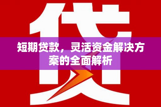 陆良短期贷款，灵活资金解决方案的全面解析