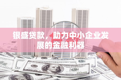 定海银盛贷款，助力中小企业发展的金融利器