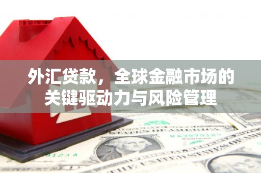 万年外汇贷款，全球金融市场的关键驱动力与风险管理