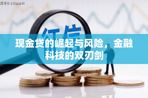 卓尼现金贷的崛起与风险，金融科技的双刃剑