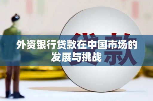 泗阳外资银行贷款在中国市场的发展与挑战