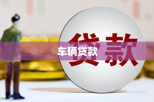 桑日车辆贷款