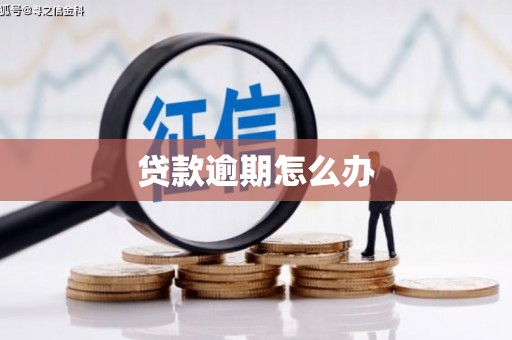 红原贷款逾期怎么办