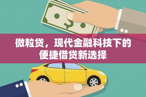 葵青微粒贷，现代金融科技下的便捷借贷新选择