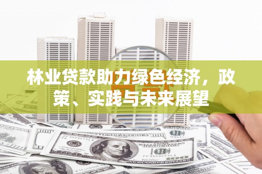 乐亭林业贷款助力绿色经济，政策、实践与未来展望