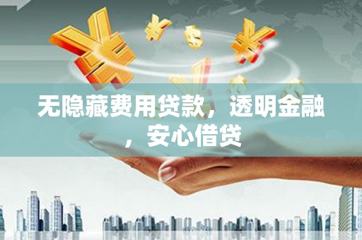 东台无隐藏费用贷款，透明金融，安心借贷