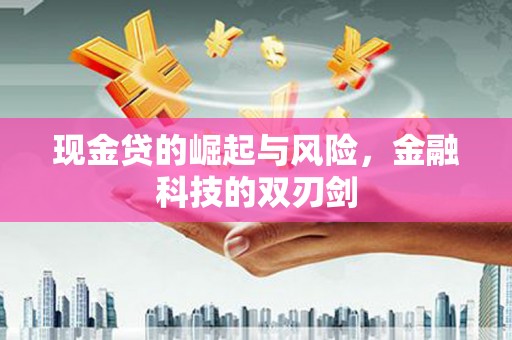 米脂现金贷的崛起与风险，金融科技的双刃剑
