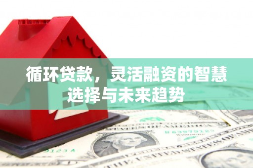 泽普循环贷款，灵活融资的智慧选择与未来趋势