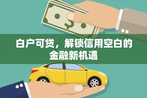 岱岳白户可贷，解锁信用空白的金融新机遇
