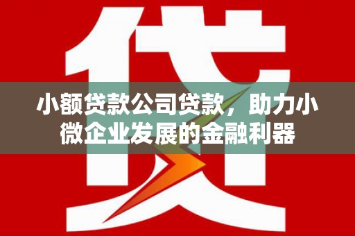 崇州小额贷款公司贷款，助力小微企业发展的金融利器