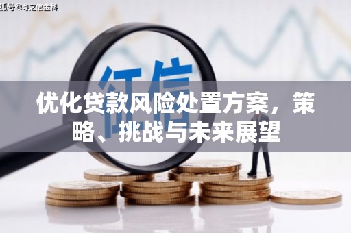 莱山优化贷款风险处置方案，策略、挑战与未来展望