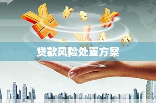 民和贷款风险处置方案