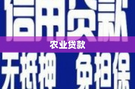 文成农业贷款