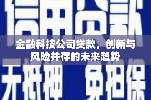 汝南金融科技公司贷款，创新与风险并存的未来趋势