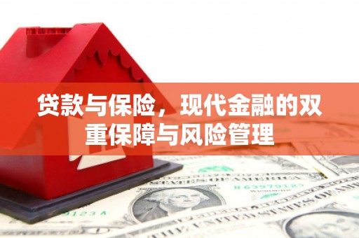 葵青贷款与保险，现代金融的双重保障与风险管理