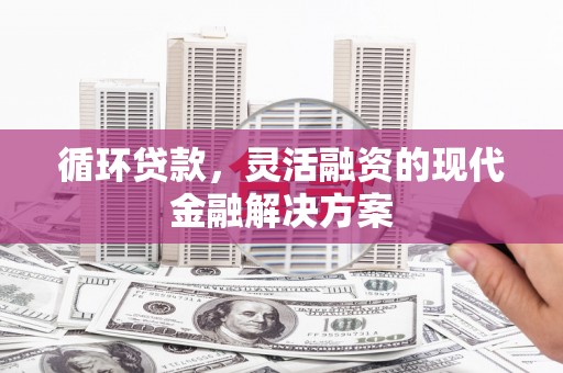 怀集循环贷款，灵活融资的现代金融解决方案