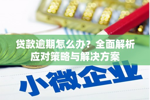 佳冬贷款逾期怎么办？全面解析应对策略与解决方案