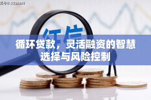 集贤循环贷款，灵活融资的智慧选择与风险控制