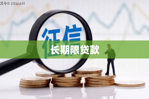 丹寨长期限贷款