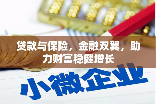 元长贷款与保险，金融双翼，助力财富稳健增长