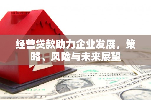 光山经营贷款助力企业发展，策略、风险与未来展望