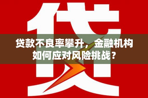 介休贷款不良率攀升，金融机构如何应对风险挑战？