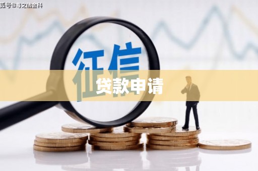 水里贷款申请